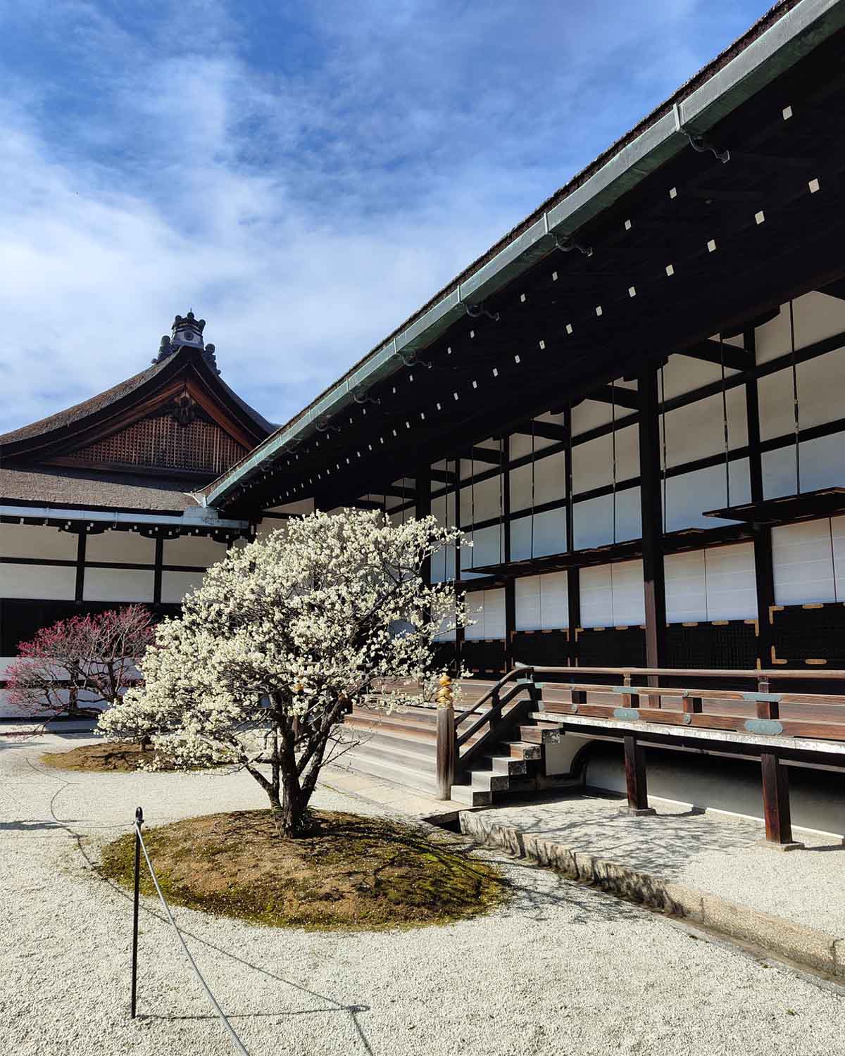 On the Road in Japan: The Story of Music and Self-Discovery – Part